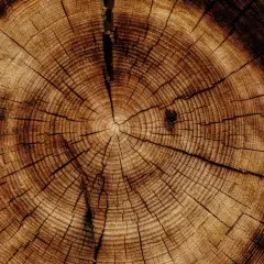 Impregnacja drewna – skuteczna ochrona na lata