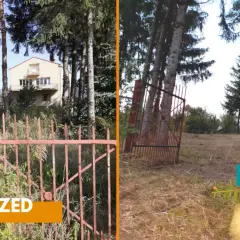 Drzewa na działce budowlanej: przepisy, wycinka i sadzenie