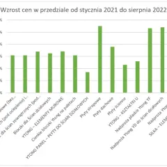 Kompletny cennik Ytong: aktualne ceny i produkty w jednym miejscu