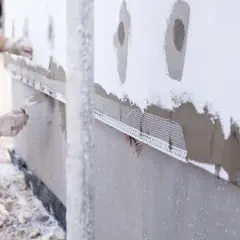 Skutecznie pozbędziesz się myszy z elewacji: sprawdzone sposoby i porady