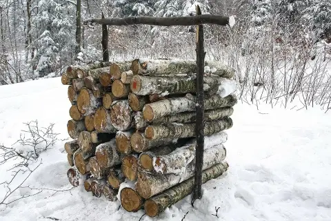 Zimowy stos drewna, przygotowany na opał. Każdy kubik drewna pokryty śniegiem, otoczony zimowym lasem.