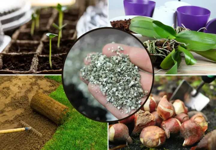Dłoń trzyma wermikulit, który poprawia strukturę gleby. Widać też sadzonki, storczyka, cebulki tulipanów i przygotowanie trawnika.