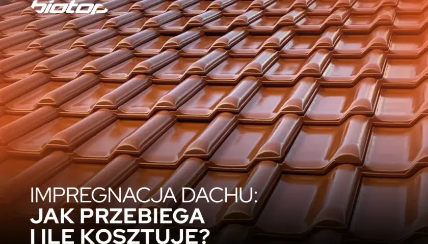 Dachy odporne na afrykańskie warunki: technologie impregnacji prosto z Johannesburga